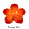 Orange Red