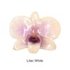 Lilac White