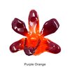 Purple Orange