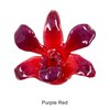 Purple Red