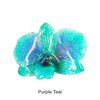 Purple Teal
