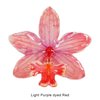 Light Purple dyed Red