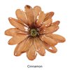 Cinnamon