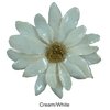 Cream/White