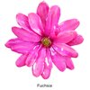 Fuchsia