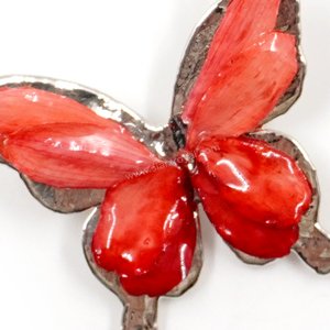 Silver plated Bird's Nest Fern cut into butterfly shape as base is layered with delicate flower Petals in assorted colors in 3D style; preserved in flexible, clear coating. Flower Petal colors can be changed.