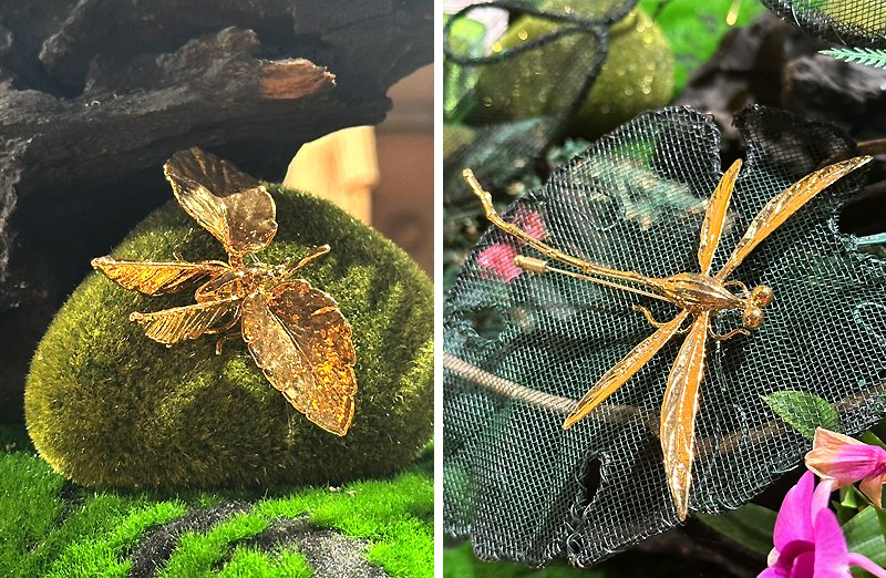 Left: "Indian Meal Moth" Inspired by various Indian Meal Moth species, this Botanic "Indian Meal Moth" created from gold plated tamarind branch legs, Chili body, Pansy leaves Upper Wings and Ceylon Oak leaf Lower wings.
Right: "Dragonfly" Inspired by various Dragonfly species, this eye-catching Botanic "Dragonfly" created from gold plated Peppercorn Eyes., Britton’s Wild Petunia wings, Bastard oleaster Seed Thorax, Tamarind branch Legs, and Banyan tree branch abdomen.