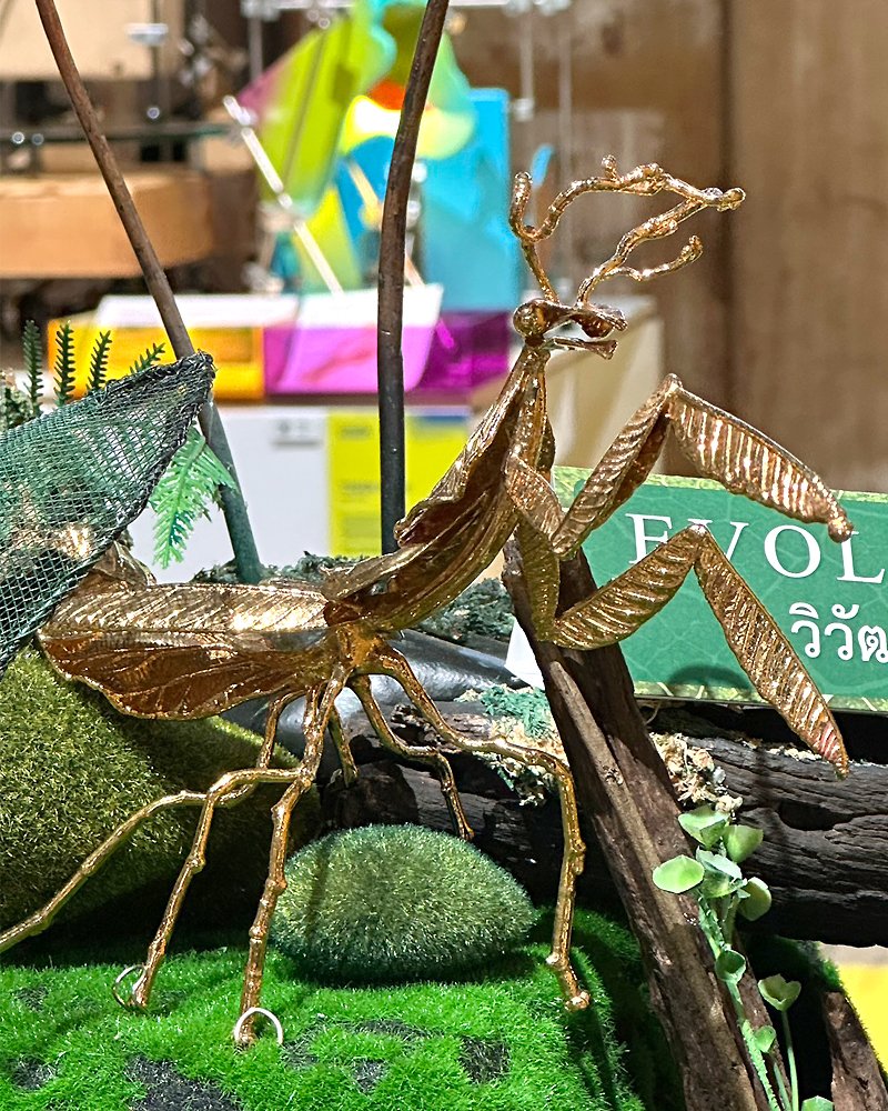 "Praying mantis"
Inspired by various
Praying mantis, this Botanic "Praying mantis" created from gold plated
Million Hearts Leaf Head,
Peppercorn Eyes,
Tamarind Pod Fibers Antennae,
Goldan dewdrop Thorax, 
Banyan tree branch Legs,
Ceylon oak Leaves Wings,
Teak Leaf abdomen,
and Ceylon oak Leaves Raptorial forelegs.