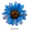 Blue Bonnet