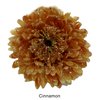 Cinnamon