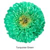 Turquoise Green