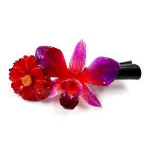 Real Cosmos & Dendrobium orchid on Large Black Metallic Hair Clip