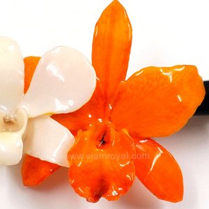 Real Dendrobium orchid & Cattleya on Large Black Metallic Hair Clip