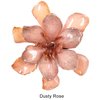 Dusty Rose
