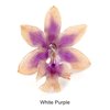 White Purple