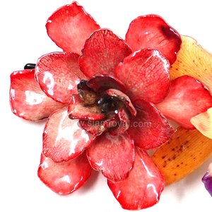 Gardenia and Cattleya on Metallic Hairclip.