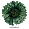 Charcoal Green