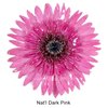 Natural Dark Pinks