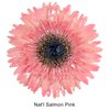 Natural Salmon Pink