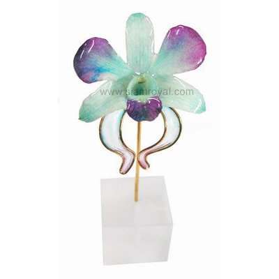Dendrobium Orchid Fantasy Decor 2-Middle of 3