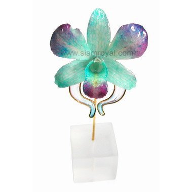 Dendrobium Orchid Fantasy Decor 3-Smallest of 3