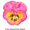 Pink-Yellow/Pink Edged