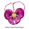 White-Violet/Violet Edged