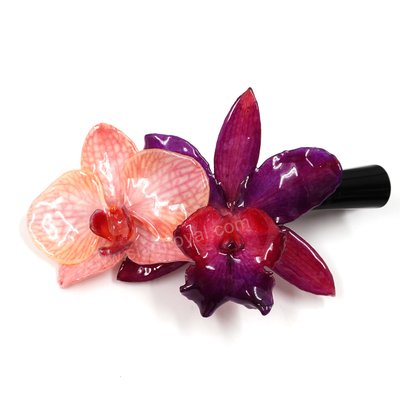 Phalaenopsis & Cattleya on Large Black Metallic Hair Clip