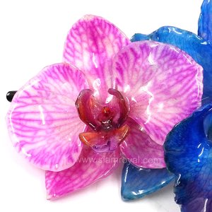 Royal Orchid Collection, Real Phalaenopsis and Cattleya on a 13 cm black metal hair clip, Siam Royal Orchid.
