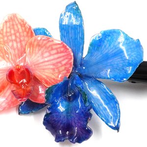 Royal Orchid Collection, Real Phalaenopsis and Cattleya on a 13 cm black metal hair clip, Siam Royal Orchid.