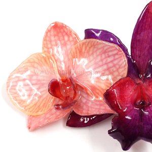 Royal Orchid Collection, Real Phalaenopsis and Cattleya on a 13 cm black metal hair clip, Siam Royal Orchid.