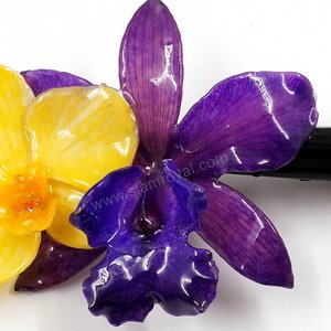 Royal Orchid Collection, Real Phalaenopsis and Cattleya on a 13 cm black metal hair clip, Siam Royal Orchid.