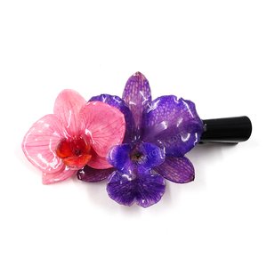 Royal Orchid Collection, Real Phalaenopsis and Cattleya on a 13 cm black metal hair clip, Siam Royal Orchid.