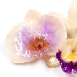 Phalaenopsis and Cattleya on Black Metallic Hair Clip.