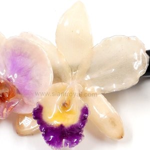 Phalaenopsis and Cattleya on Black Metallic Hair Clip.
