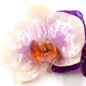 Real Phalaenopsis & Dendrobium orchid on Large Black Metallic Hair Clip