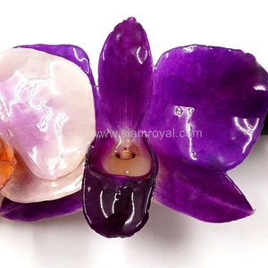 Real Phalaenopsis & Dendrobium orchid on Large Black Metallic Hair Clip