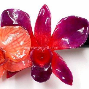 Real Phalaenopsis & Dendrobium orchid on Large Black Metallic Hair Clip