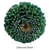 Charcoal Green