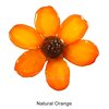 Natural Orange